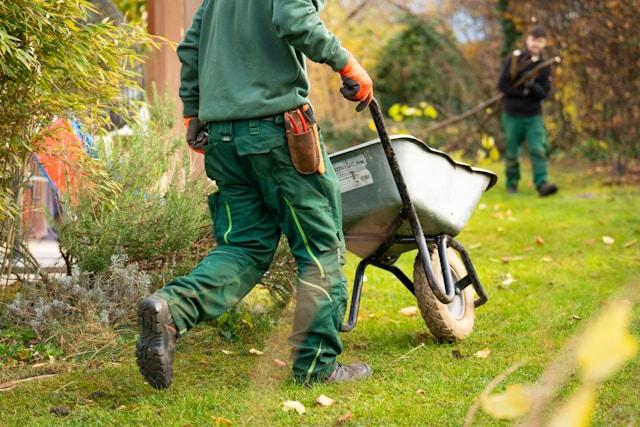 Person working in garden with wheelbarrow